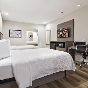 Premium Queen Room